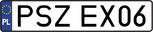 PSZEX06