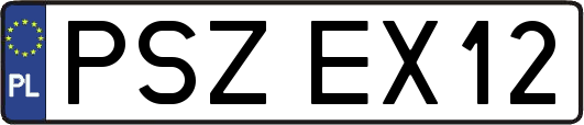 PSZEX12