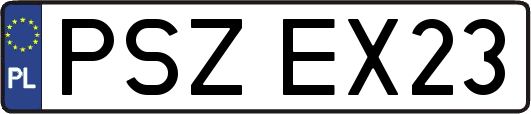 PSZEX23