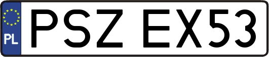 PSZEX53