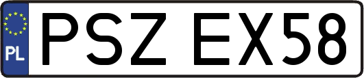 PSZEX58