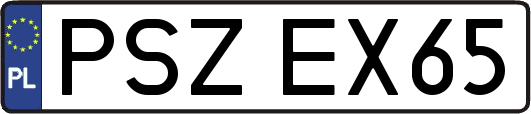 PSZEX65