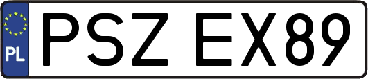 PSZEX89