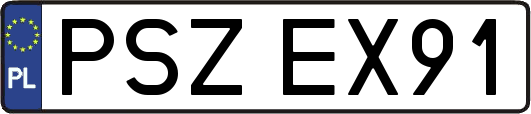 PSZEX91