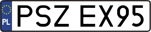PSZEX95