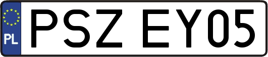 PSZEY05