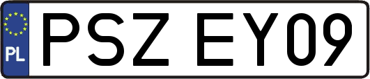 PSZEY09