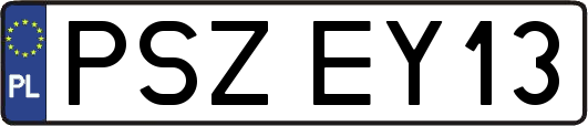 PSZEY13