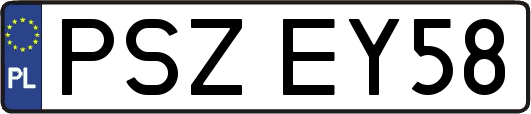 PSZEY58