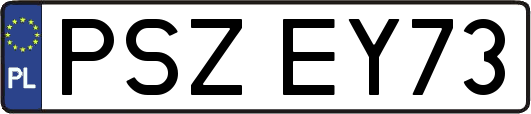PSZEY73