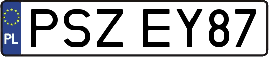 PSZEY87