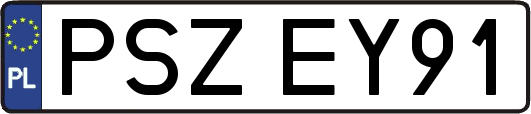 PSZEY91