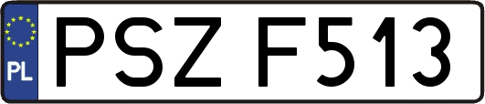 PSZF513