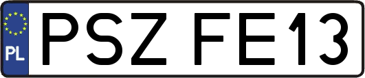 PSZFE13