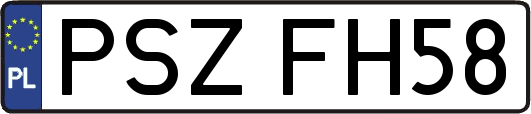 PSZFH58