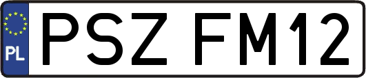 PSZFM12