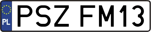 PSZFM13