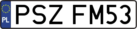 PSZFM53