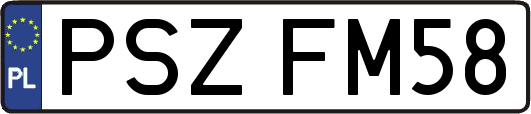 PSZFM58