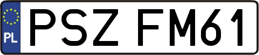 PSZFM61