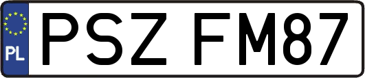 PSZFM87
