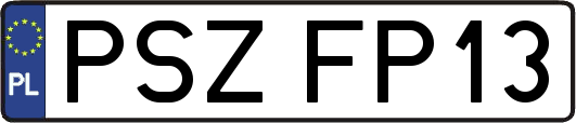 PSZFP13
