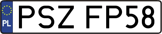 PSZFP58
