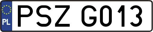 PSZG013