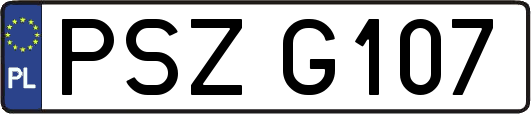 PSZG107