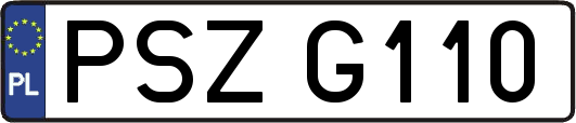 PSZG110