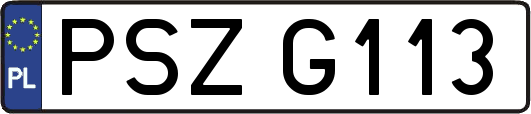 PSZG113