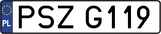 PSZG119