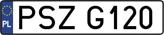 PSZG120