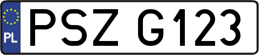 PSZG123
