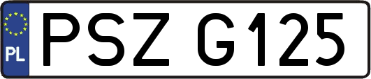 PSZG125