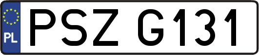 PSZG131