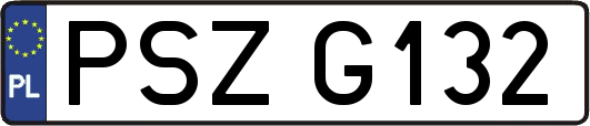 PSZG132