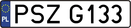 PSZG133