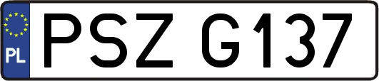PSZG137