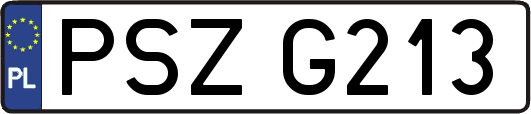 PSZG213