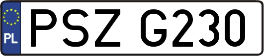 PSZG230