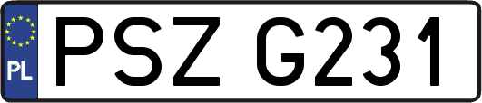 PSZG231
