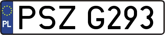 PSZG293