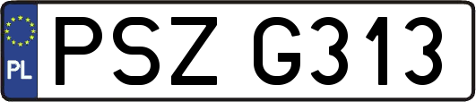 PSZG313
