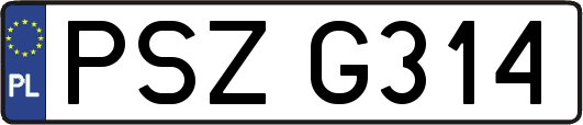 PSZG314