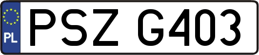 PSZG403