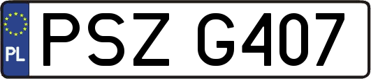 PSZG407