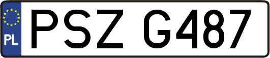 PSZG487