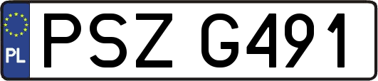 PSZG491