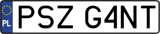 PSZG4NT